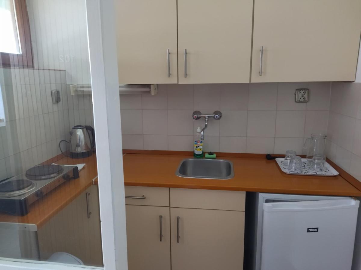 Viking Aparthotel 3*